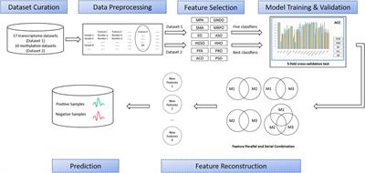 Feature Selection of OMIC Data by Ensemble Swarm Intelligence Based Approaches